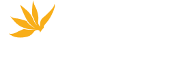Gipsyy